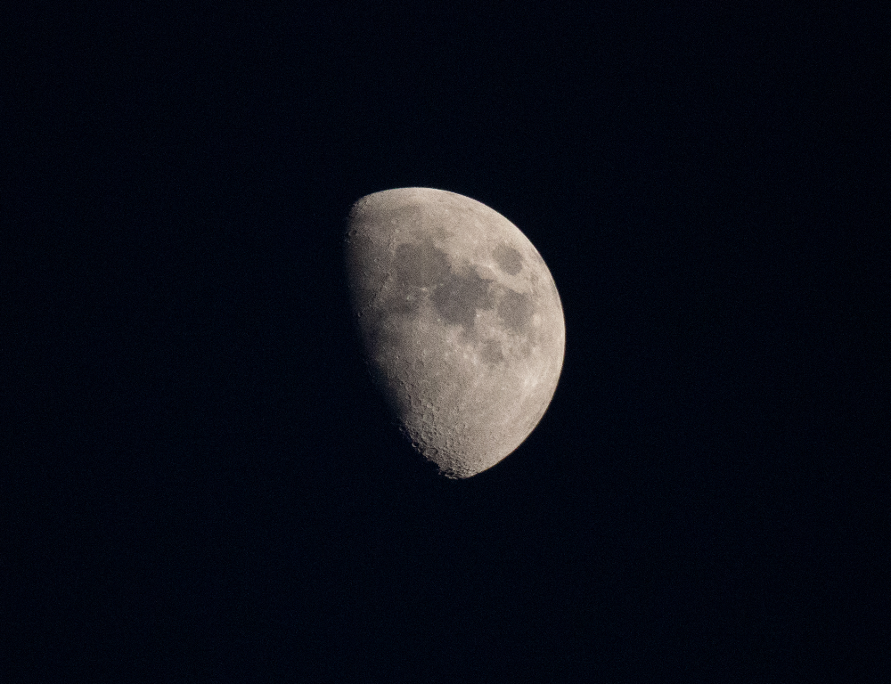 P1013247